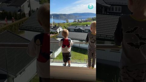 Boys Sing Birthday Song for 84-Year-Old Neighbor || ViralHog