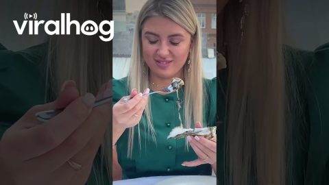 Raw Oyster Tasting Fail || ViralHog