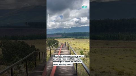 Riding the Long Tom Toboggan in Mountain|| ViralHog