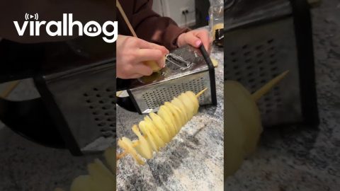 Using a Grater to Make Spiral Potatoes || ViralHog