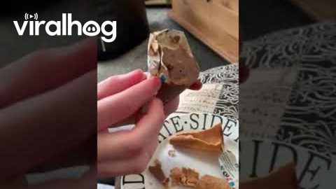 Ice Cream Cone Got Double Wrapped || ViralHog