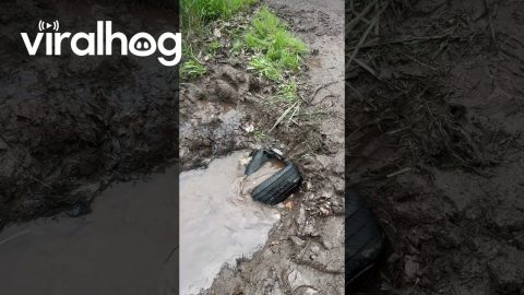 Tire And Chain Used To Clean Drainage Pipe || ViralHog