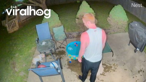 Frenchie Refuses To Dry Off || ViralHog