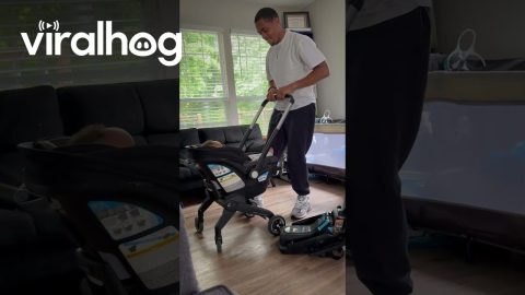 Record-Setting Baby Carriage Pit Stop || ViralHog