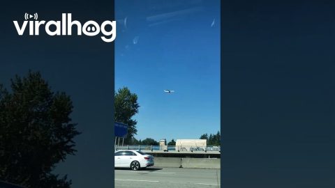 Plane Appears to Stop in Midair || ViralHog