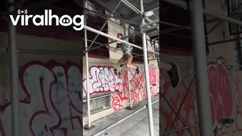 Parkour in the City || ViralHog