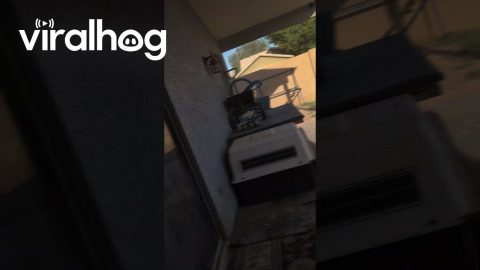 Drone Delivery Creates Dust Storm in Backyard || ViralHog