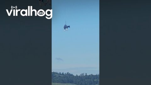 Helicopter Rescues Horse From Yellowstone River || ViralHog