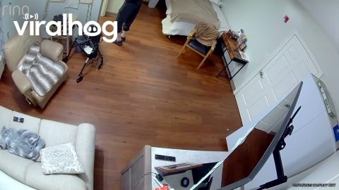 Rooting and Tooting Grandpa || ViralHog