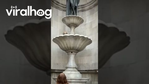 Harry Potter Easter Egg In Fountain At Universal's Epic Universe || ViralHog