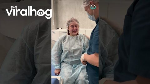 A New Vision After 15 Years|| ViralHog