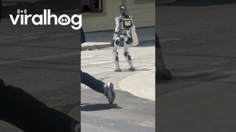 Robot in San Francisco || ViralHog