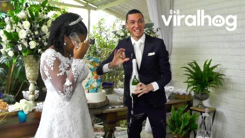 From ‘I Do’ to Oops 💍 Funny Wedding Videos || ViralHog