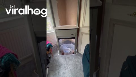 Putting Parents Elevator to Good Use || ViralHog