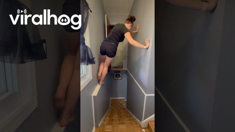 Inconvenient Closet Over the Stairs || ViralHog