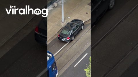 Car In No Hurry Blocks Public Train From Moving || ViralHog