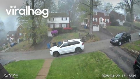 Tree Falls on Unoccupied Car During Penn Hills Storm || ViralHog