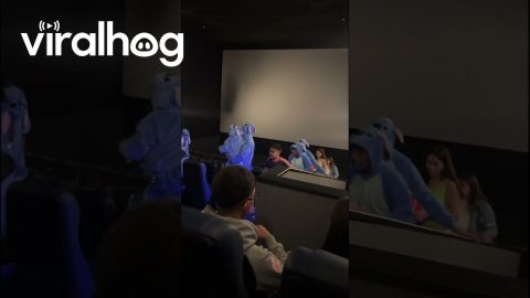 Stitch Costumes for the New Movie || ViralHog