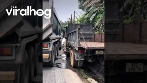 Driver Skillfully Navigates Narrow Gap Around Traffic Jam || ViralHog