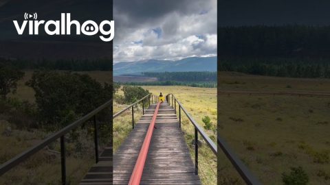 Riding the Long Tom Toboggan in Misty Mountain || ViralHog