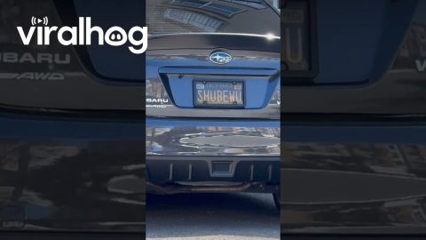 SHUBEWU || ViralHog