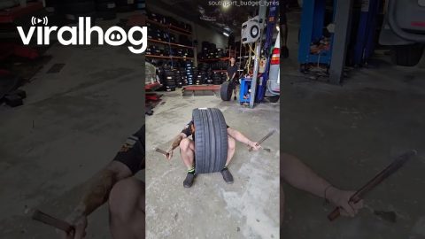 Droideka at Work || ViralHog