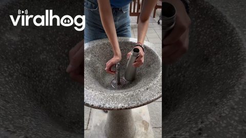 Physics Student Struggles to Fill Water Bottle || ViralHog