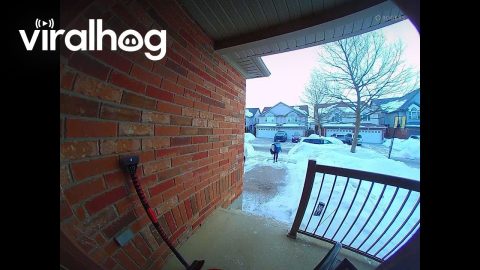 Woman Falls On Icy Sidewalk In Canada || ViralHog