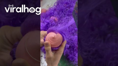 Sewing Curly Purple Hair On Toy Doll || ViralHog