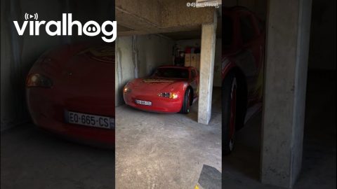 Lightning McQueen Car || ViralHog