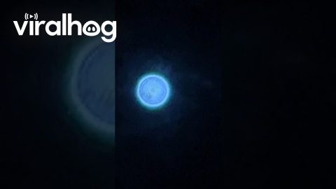 Bright Blue UAP Spotted in New Mexico || ViralHog