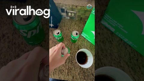 Can Pours The Wrong Soda || ViralHog