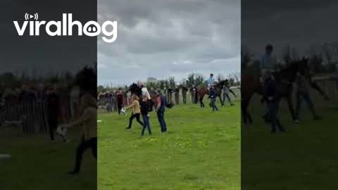 Racehorse Spins Jockey Around || ViralHog