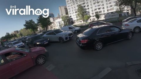Traffic Taking Over the Bike Lane || ViralHog