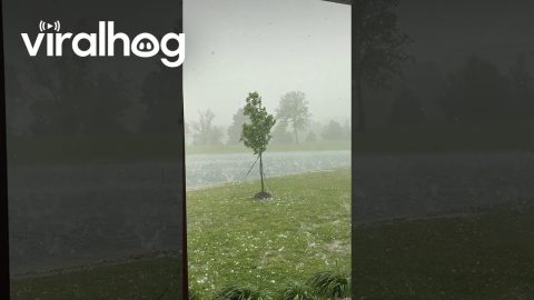 Smithland Kentucky Hail Storm || ViralHog