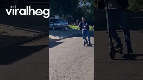 Man Faceplants Off Scooter || ViralHog