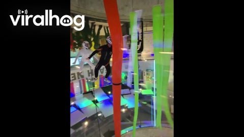 Air Championships in Abu Dhabi || ViralHog