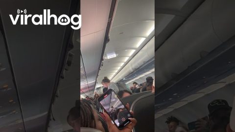 Missed My Connecting Flight Because of Amanda || ViralHog
