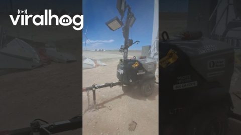 Nice Lil Dirt Devil Today || ViralHog