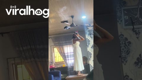 POV You're the Weird Sibling || ViralHog