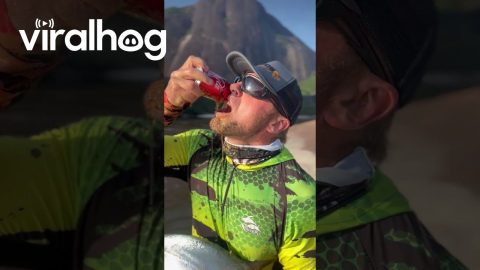 Fanged Fish Bites Into Soda Can || ViralHog
