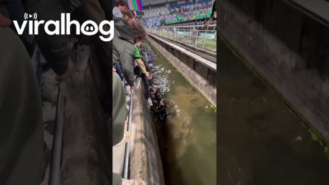 Football Fan Falls Into Moat Surrounding Pitch || ViralHog