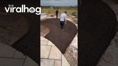 Soil Steppers Compact Top Soil For Turf || ViralHog