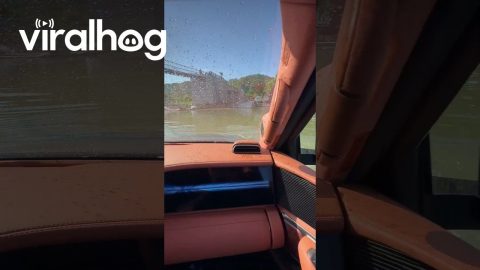 Driving a BYD in the River || ViralHog