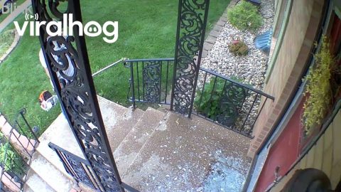 Weed Wacker Breaks Glass Door || ViralHog