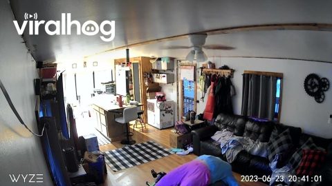 Yoga Ball Stretch And Scream Fail || ViralHog