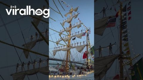 Cuauhtémoc Ship Filmed Shortly Before It Collided With Brooklyn Bridge || ViralHog