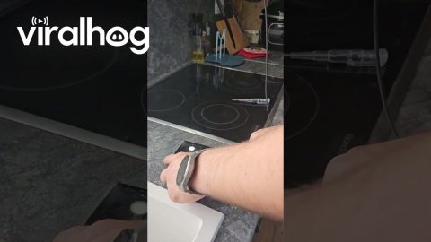 Range Hood Seems to Charge Phone || ViralHog
