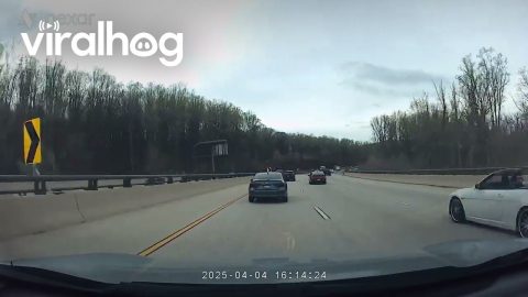 Hit-and-Run On Maryland Freeway || ViralHog