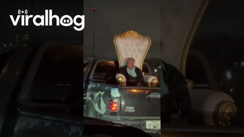 Man Sitting on Truck Bed Throne || ViralHog